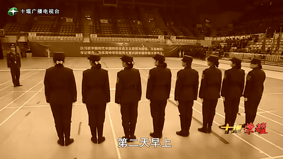 創(chuàng)業(yè)是一條無比艱辛的路，創(chuàng)新更是無限風(fēng)光在險峰。在男性為主導(dǎo)的商海里，女性創(chuàng)業(yè)創(chuàng)新需要鼓足十萬分的勇氣和力量，是挑戰(zhàn)未來成功的小概率事件。而十堰姑娘楊麗便是這小概率事件中的一個傳奇，也是女性創(chuàng)業(yè)創(chuàng)新的榜樣。今天就來認識這位傳奇女性-興千田集團楊麗。